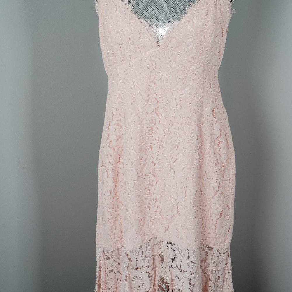 NWT Fame And Partners Pink Lace Mermaid gown - 10 - Picture 3 of 8
